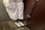 Club Deluxe Verandah Stateroom Picture