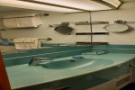 Full Window Stateroom Picture