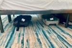 Oceanview Stateroom Picture