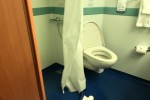 Full Window Stateroom Picture