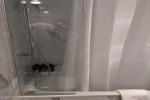 Sky Suite Stateroom Picture