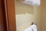 Deluxe Oceanview Stateroom Picture