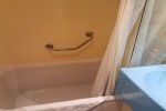 Deluxe Oceanview Stateroom Picture