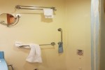 Deluxe Oceanview Stateroom Picture