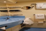 Deluxe Oceanview Stateroom Picture