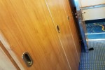 Deluxe Oceanview Stateroom Picture