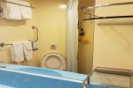 Deluxe Oceanview Stateroom Picture