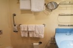 Deluxe Oceanview Stateroom Picture