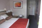 Vista Suite Stateroom Picture