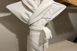 Veranda Stateroom Picture