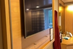 Verandah Stateroom Picture