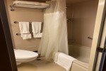 Interior Stateroom Picture