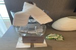 Sky Suite Stateroom Picture