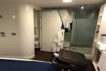 Studio Stateroom Picture