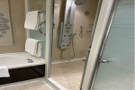 Owner Suite Stateroom Picture