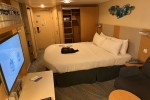 Interior Stateroom Picture
