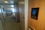 Oceanview Stateroom Picture