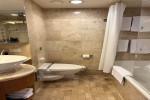 Sky Suite Stateroom Picture