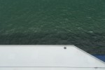Verandah Stateroom Picture