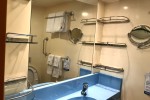 Small Interior Stateroom Picture
