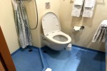 Deluxe Oceanview Stateroom Picture