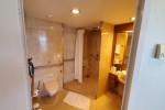 Sky Suite Stateroom Picture