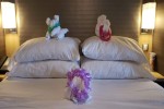 Spacious Balcony Stateroom Picture