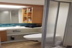 Spacious Balcony Stateroom Picture