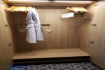 Junior Suite Stateroom Picture