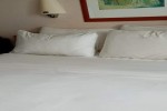 Spacious Balcony Stateroom Picture