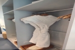Suite Stateroom Picture
