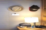 Deluxe Balcony Stateroom Picture
