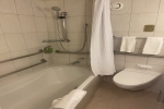 Mini-Suite Stateroom Picture