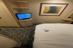 Promenade View Interior Stateroom Picture