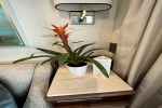 Suite Stateroom Picture