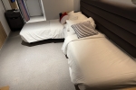 Sea Terrace Stateroom Picture