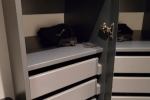 Sea Terrace Stateroom Picture