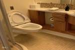 Verandah Stateroom Picture