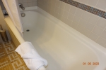 Mini-Suite Stateroom Picture