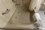 Signature Suite Stateroom Picture