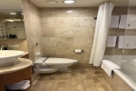 Sky Suite Stateroom Picture