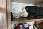 Interior Stateroom Picture