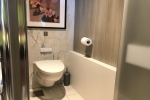 Sky Suite Stateroom Picture