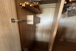Infinite Balcony Stateroom Picture