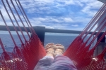 Sea Terrace Stateroom Picture