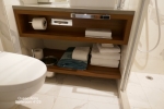 Princess Suite Stateroom Picture