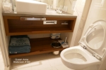 Princess Suite Stateroom Picture