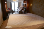 Princess Suite Stateroom Picture