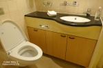 Sheltered Balcony Stateroom Picture