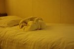 Interior Stateroom Picture